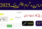 احساس پروگرام بیلنس چیک 2025