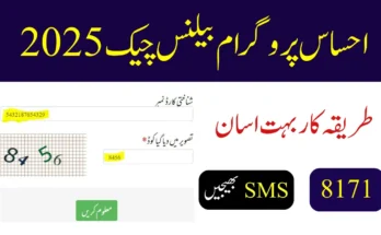 احساس پروگرام بیلنس چیک 2025