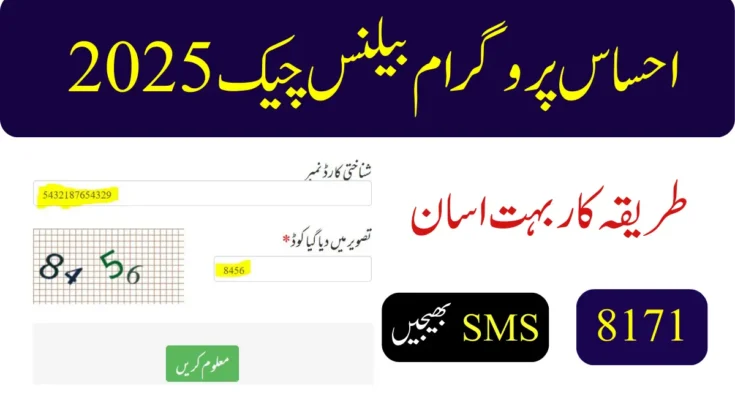 احساس پروگرام بیلنس چیک 2025