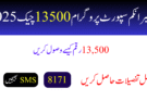 بینظیر انکم سپورٹ پروگرام 13500 چیک 2025
