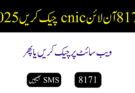 8171 آن لائن cnic چیک کریں 2025