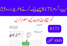 احساس پروگرام 8171 پیسے چیک کرنے کا طریقہ اردو