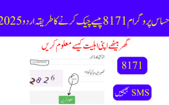 احساس پروگرام 8171 پیسے چیک کرنے کا طریقہ اردو