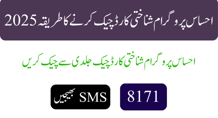 احساس پروگرام شناختی کارڈ چیک