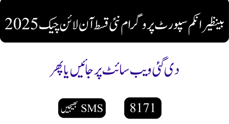 بینظیر انکم سپورٹ پروگرام نئی قسط آن لائن چیک