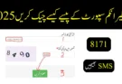 بینظیر انکم سپورٹ کے پیسے کیسے چیک کریں 2025