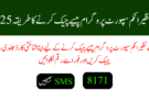 بے نظیر انکم سپورٹ پروگرام پیسے چیک کرنے کا طریقہ