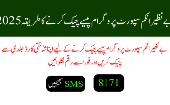 بے نظیر انکم سپورٹ پروگرام پیسے چیک کرنے کا طریقہ