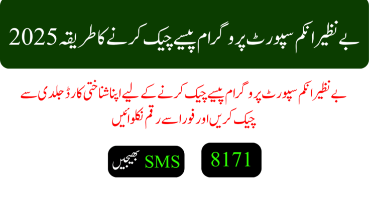 بے نظیر انکم سپورٹ پروگرام پیسے چیک کرنے کا طریقہ
