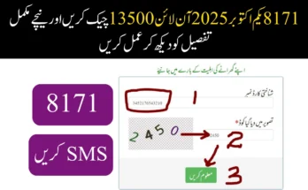 8171 یکم اکتوبر 2025 آن لائن 13500 چیک کریں
