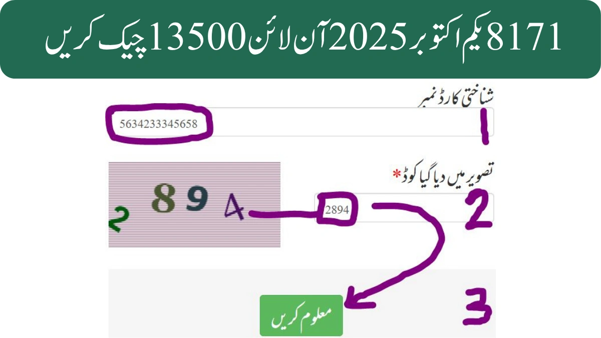 8171 یکم اکتوبر 2025 آن لائن 13500 چیک کریں