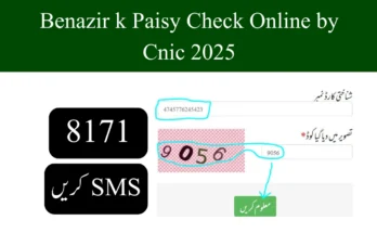 Benazir k Paisy Check Online by Cnic 2025