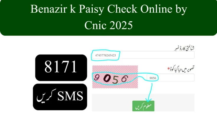 Benazir k Paisy Check Online by Cnic 2025