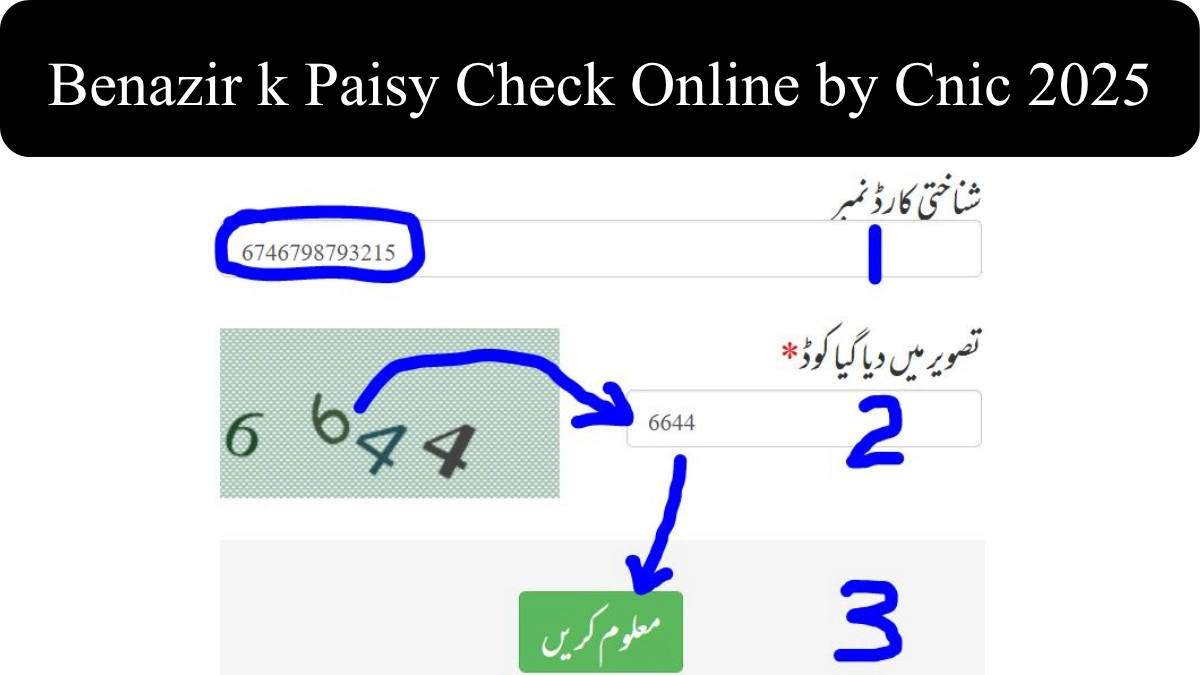 Benazir k Paisy Check Online by Cnic 2025